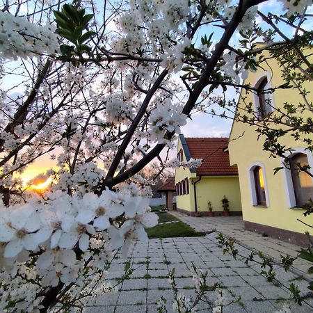 Idylicky Rodinny Penzion Arkadia Pri Dunajskej Cyklotrase Kyselica Екстер'єр фото