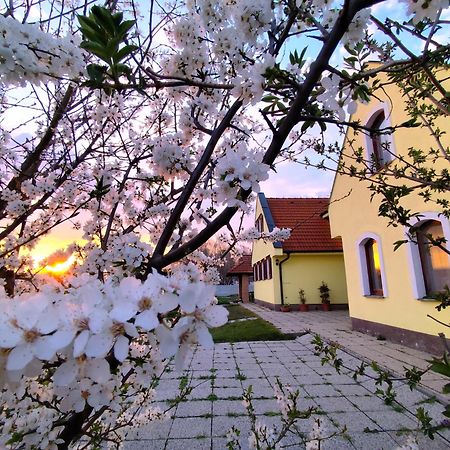 Idylicky Rodinny Penzion Arkadia Pri Dunajskej Cyklotrase Kyselica Екстер'єр фото